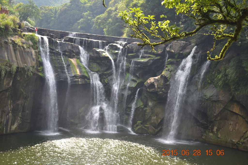 DSC_0249 DSC_0249
