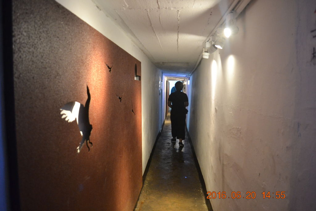 DSC_0095 DSC_0095