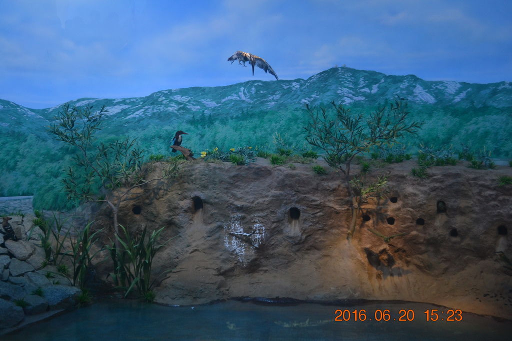 DSC_0129 DSC_0129