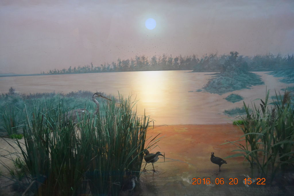 DSC_0126 DSC_0126