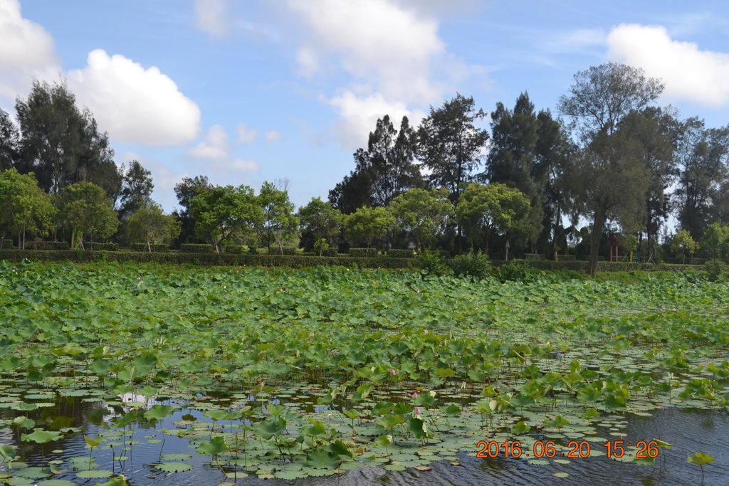 DSC_0133 DSC_0133