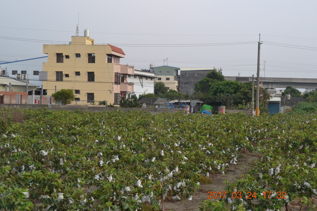 DSC_0210 DSC_0210
