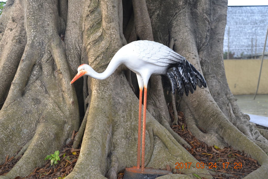 DSC_0203 DSC_0203