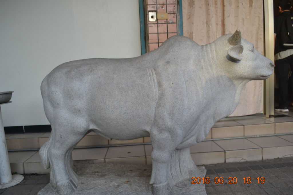 DSC_0247 DSC_0247