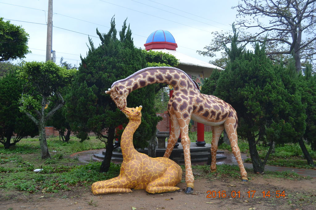 DSC_0122 DSC_0122