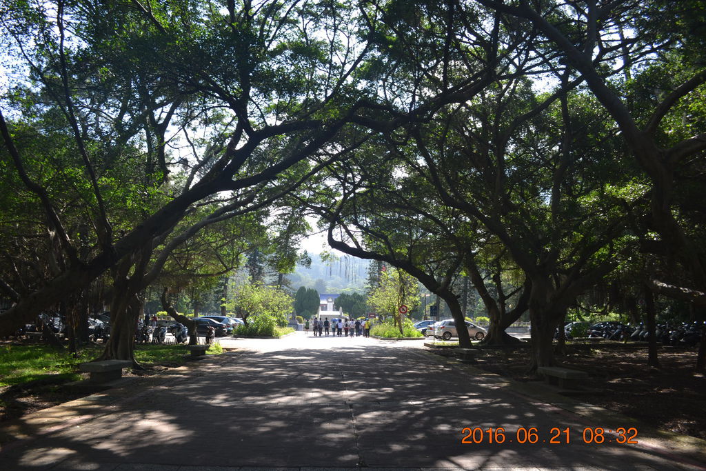 DSC_0320 DSC_0320