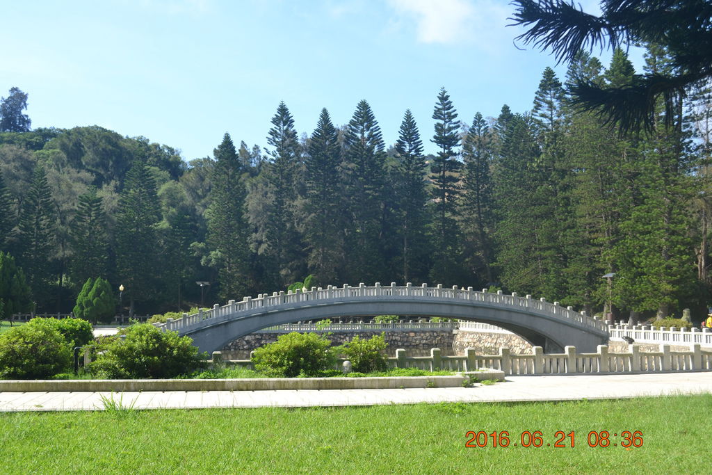 DSC_0331 DSC_0331