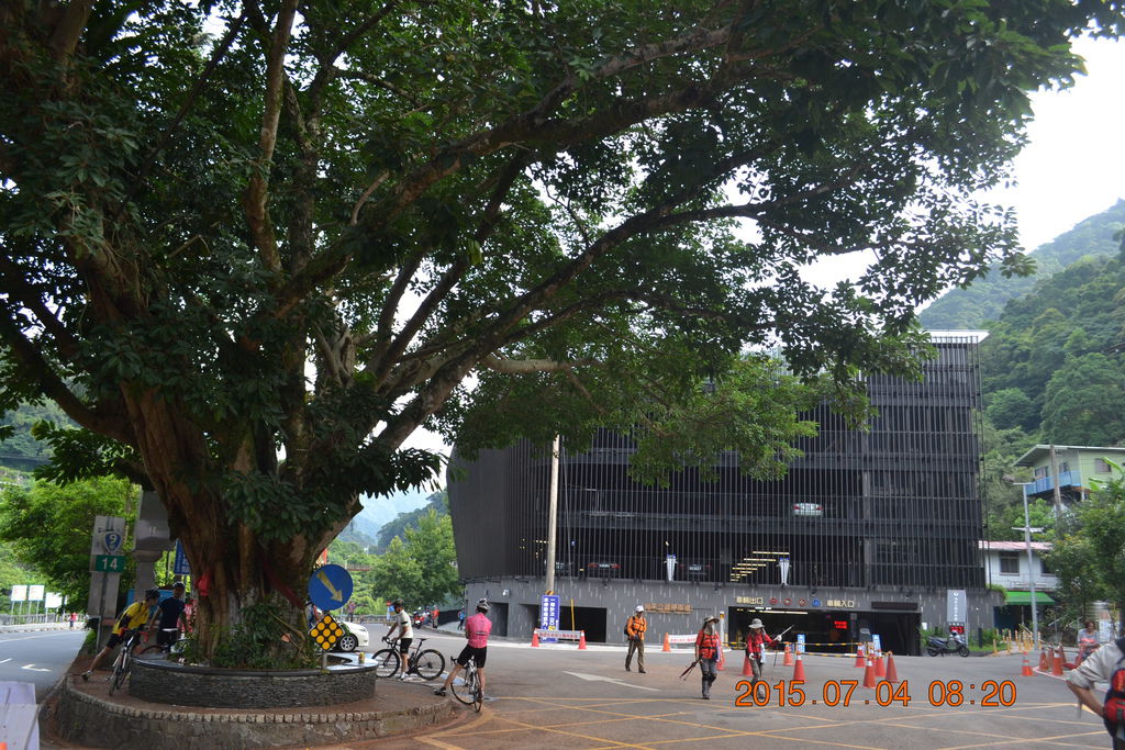 DSC_0005 DSC_0005