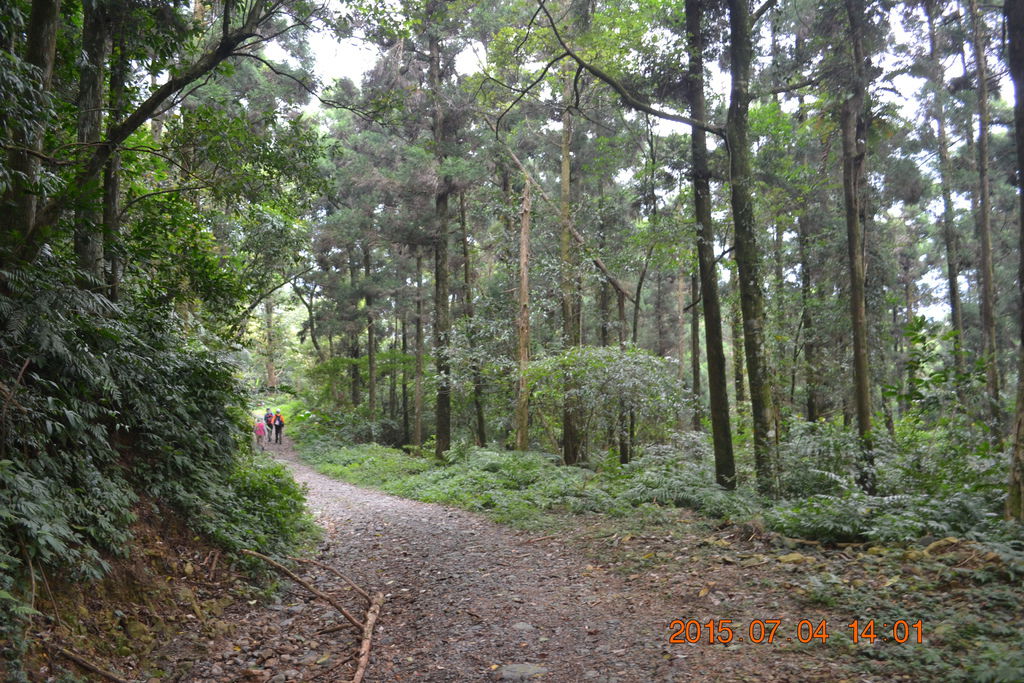 DSC_0072 DSC_0072