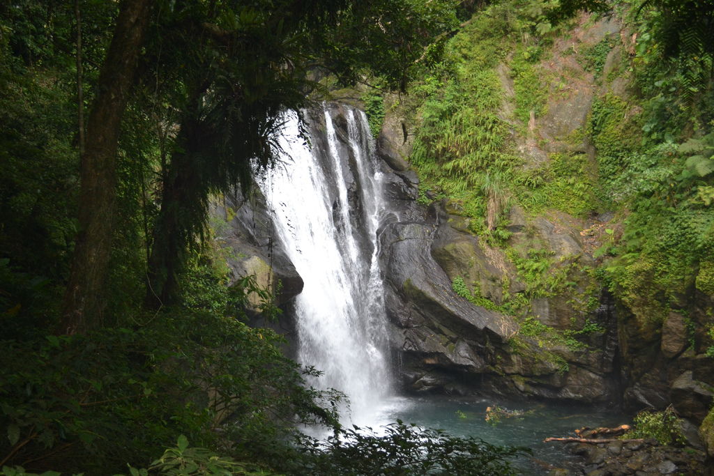 DSC_0104 DSC_0104
