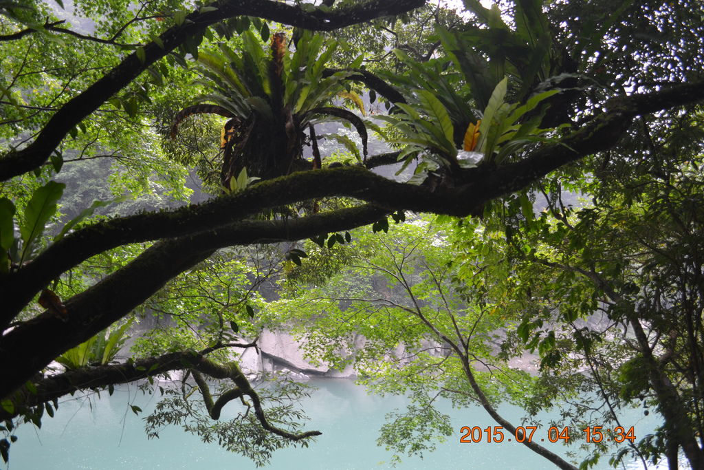 DSC_0148 DSC_0148