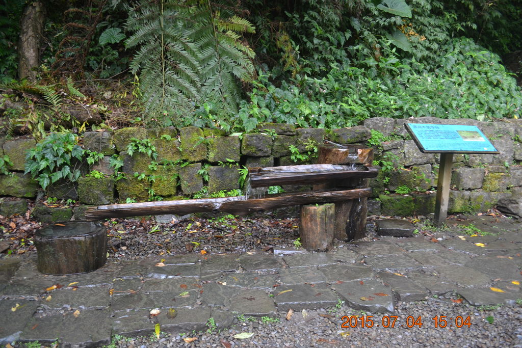 DSC_0128 DSC_0128
