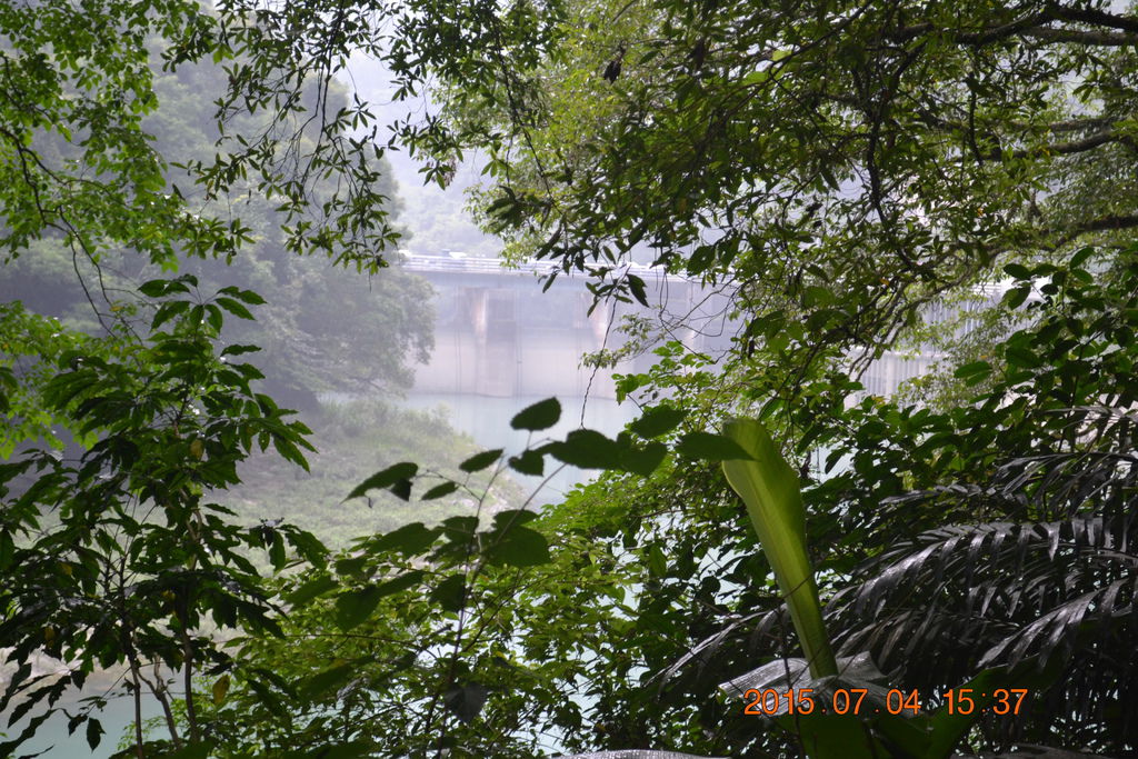DSC_0154 DSC_0154