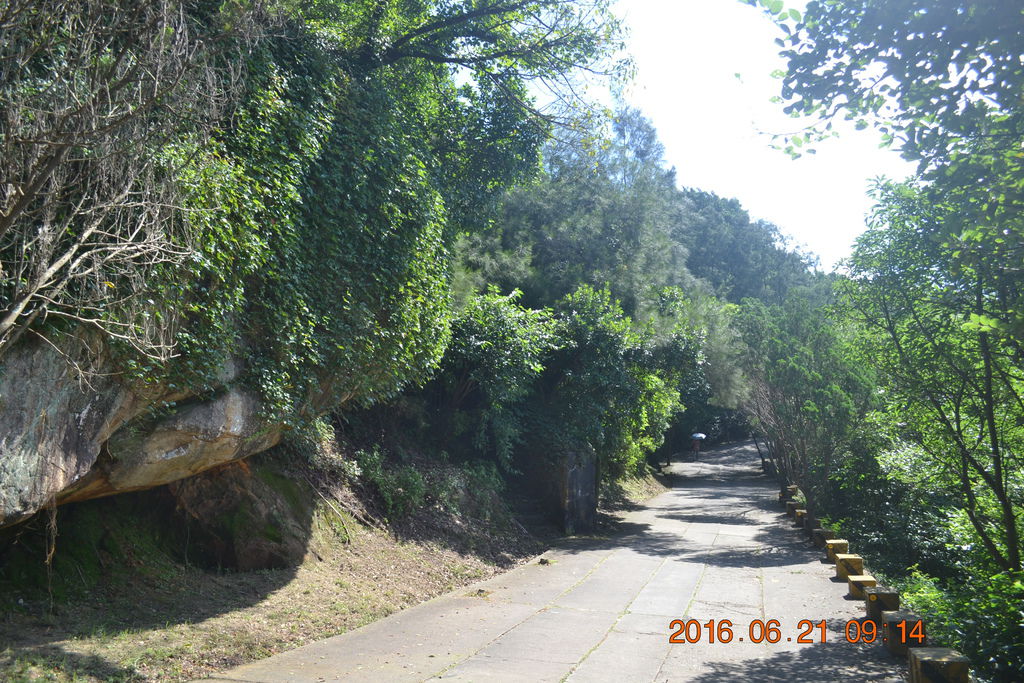 DSC_0393 DSC_0393