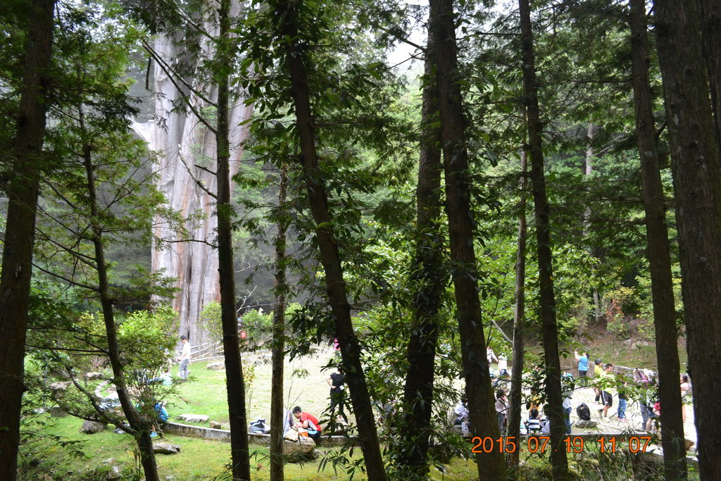 DSC_0108 DSC_0108