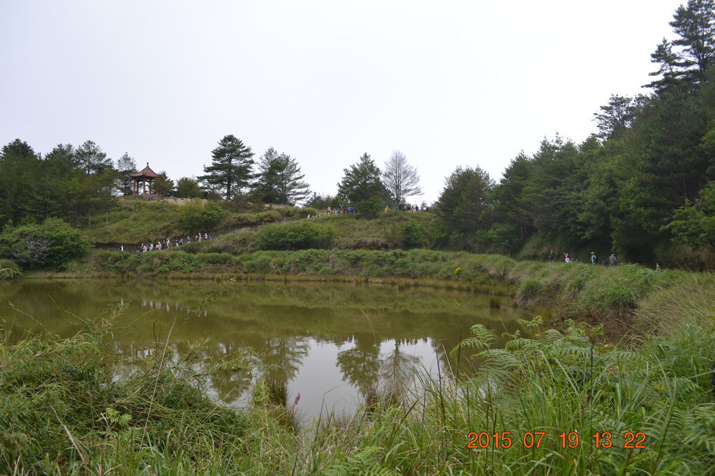 DSC_0170 DSC_0170
