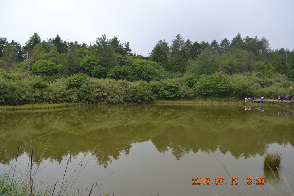 DSC_0178 DSC_0178