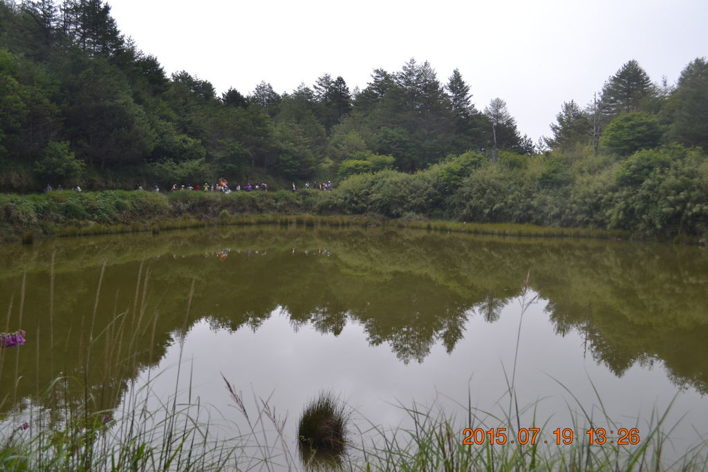 DSC_0181 DSC_0181