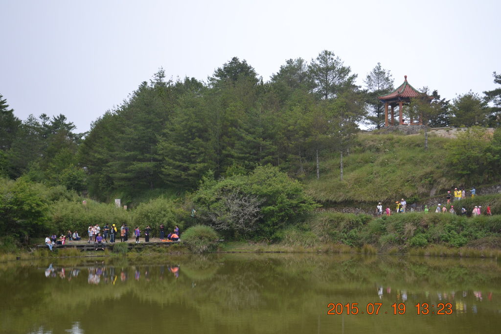 DSC_0175 DSC_0175