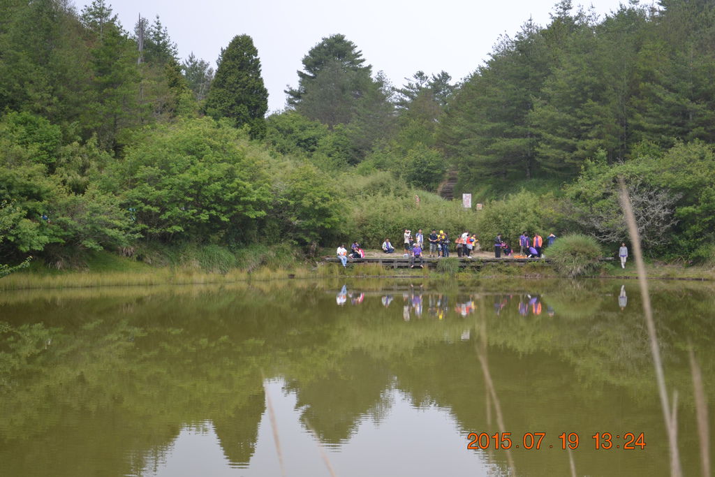 DSC_0176 DSC_0176