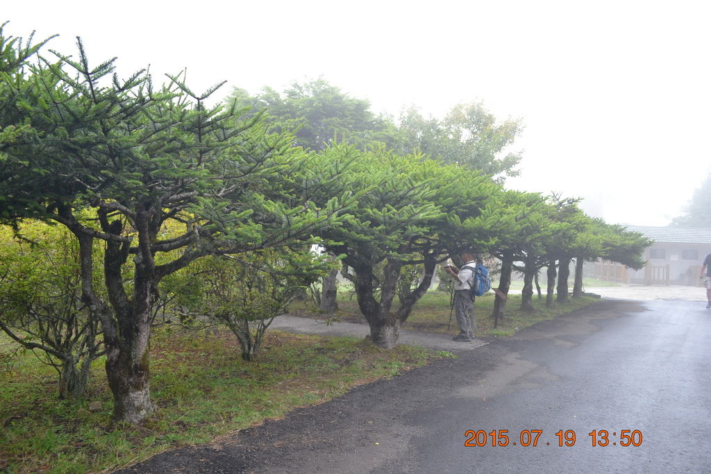 DSC_0210 DSC_0210