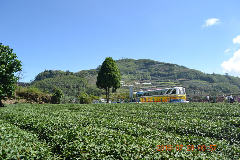 DSC_0013 DSC_0013