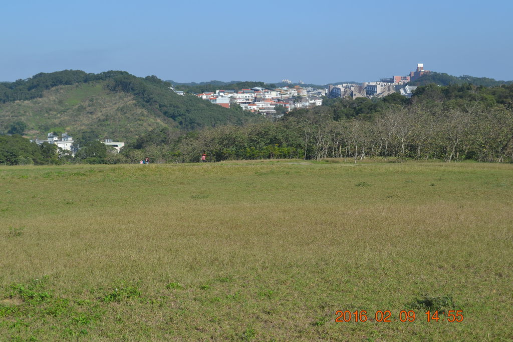 新竹香山青青草原