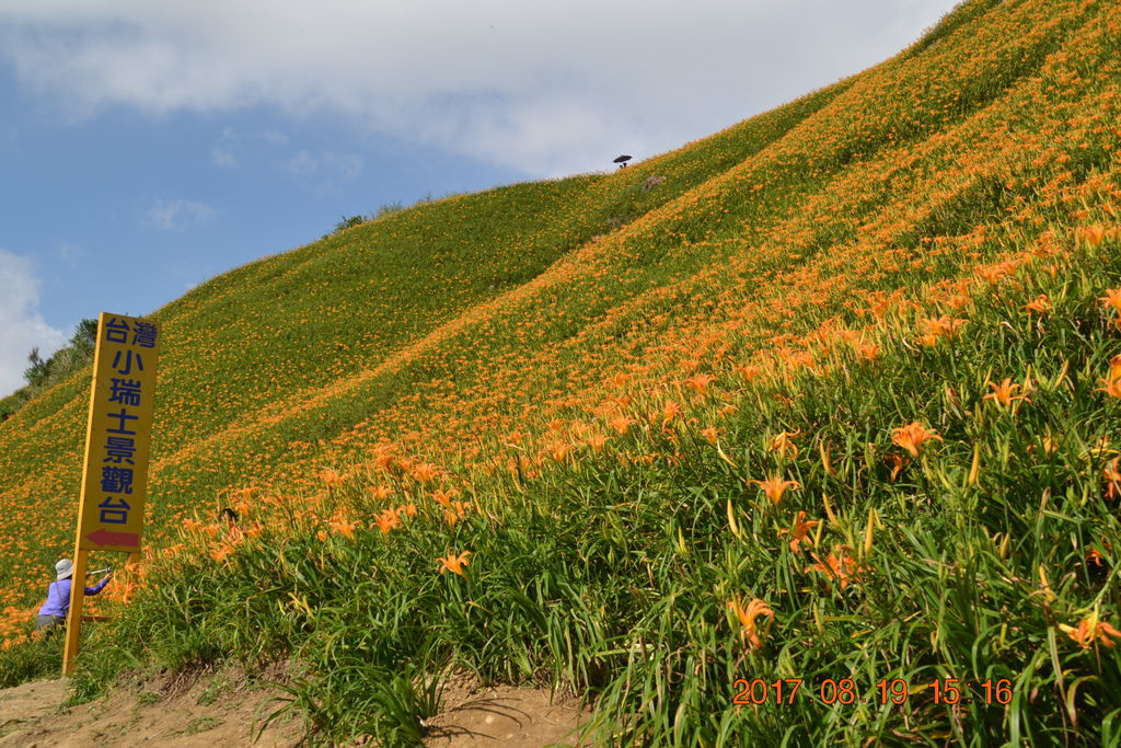 DSC_0979 DSC_0979