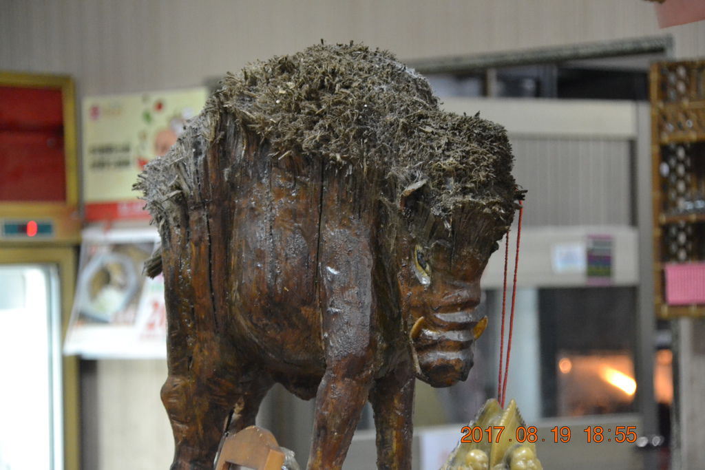 DSC_0063 DSC_0063