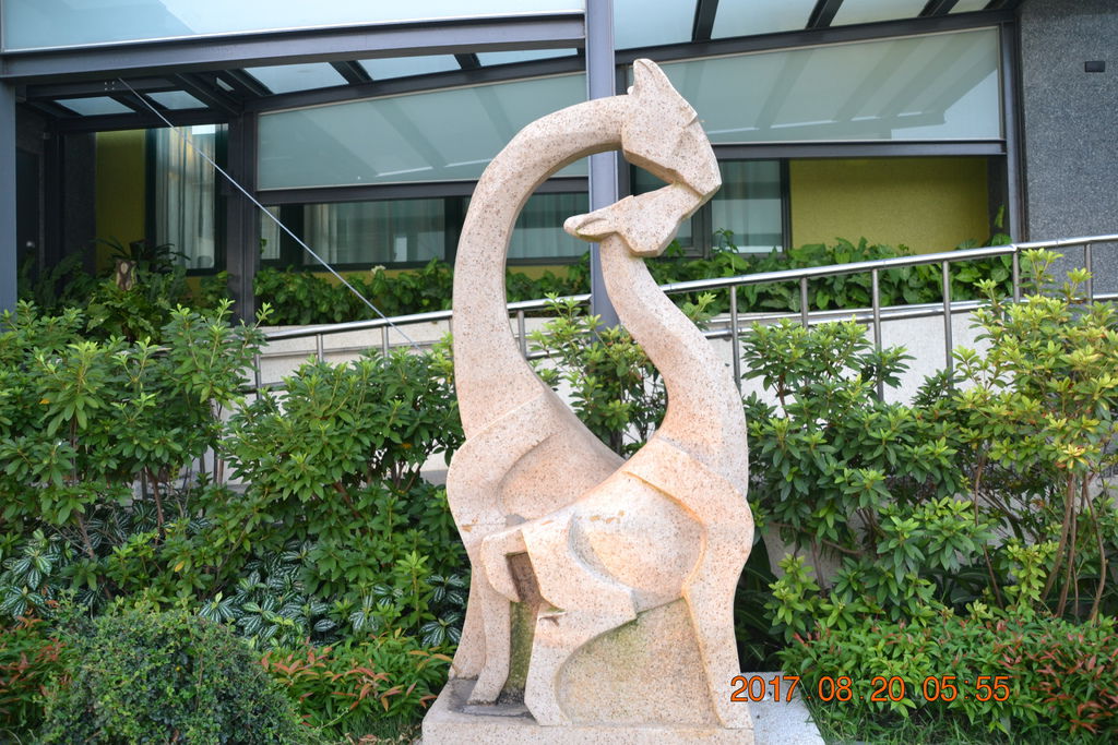 DSC_0085 DSC_0085