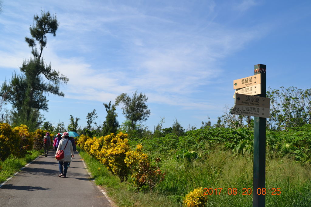 DSC_0169 DSC_0169