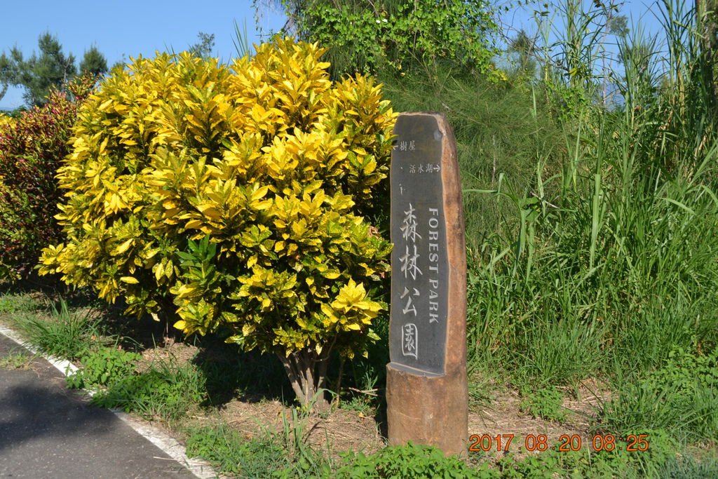 DSC_0168 DSC_0168