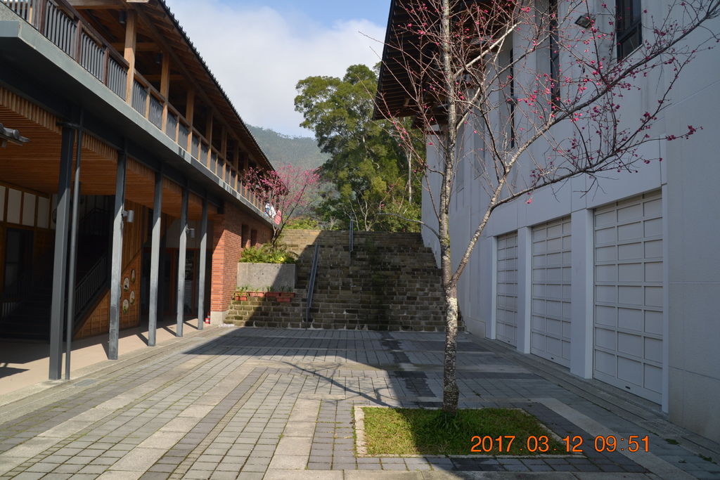 DSC_0019 DSC_0019