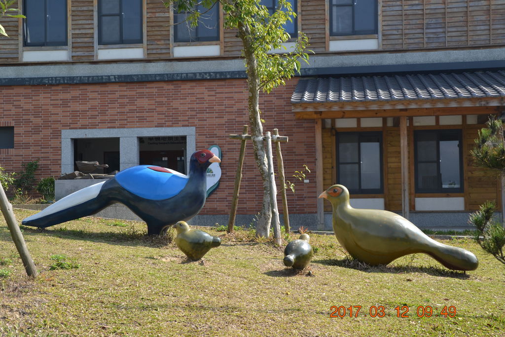 DSC_0009 DSC_0009
