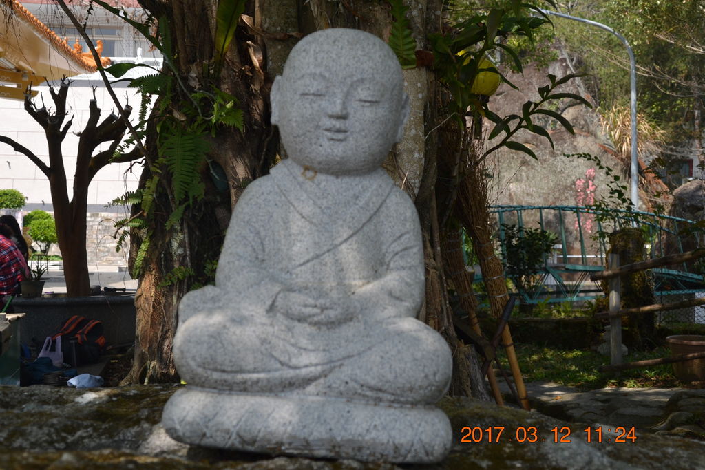 DSC_0145 DSC_0145