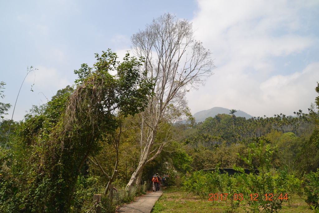 DSC_0159 DSC_0159