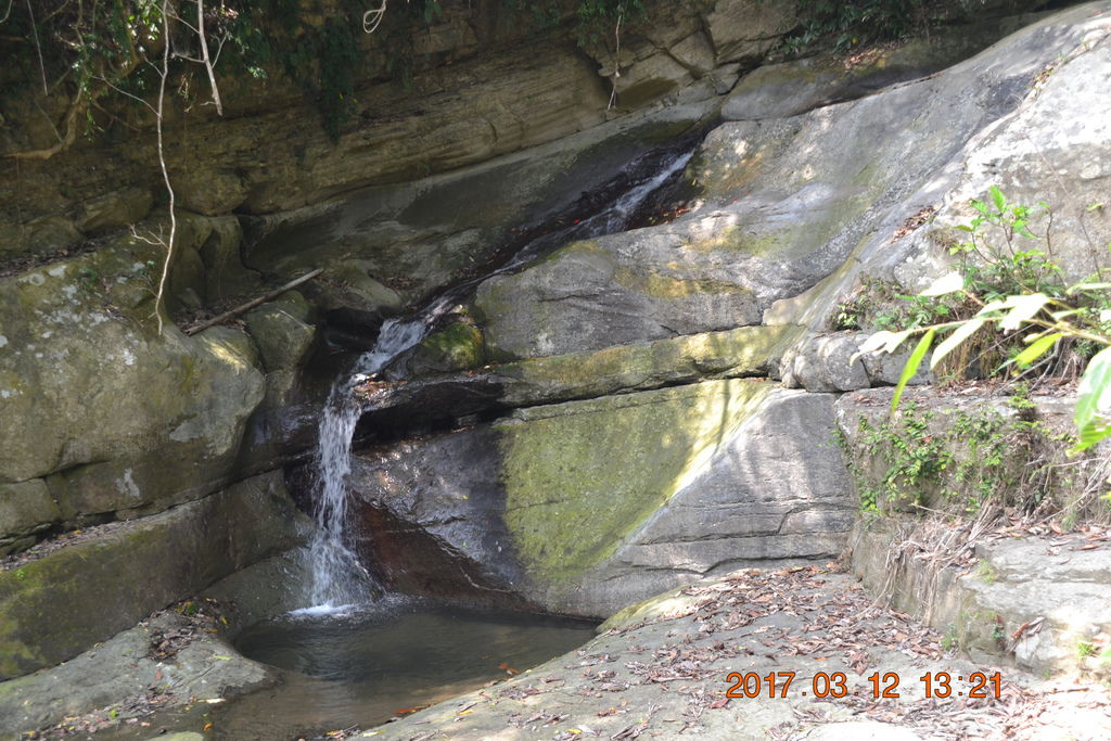 DSC_0194 DSC_0194