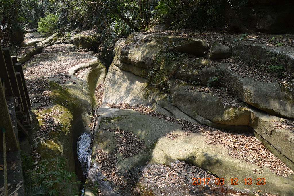 DSC_0200 DSC_0200