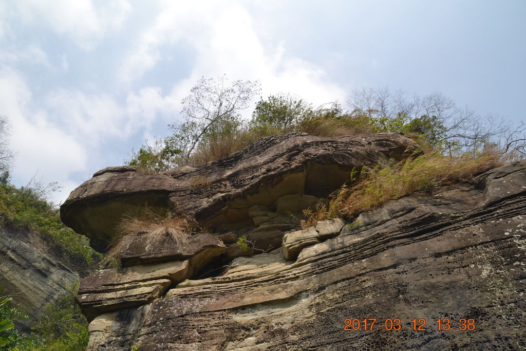 DSC_0223 DSC_0223