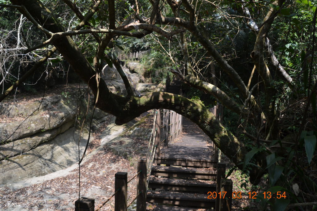 DSC_0237 DSC_0237