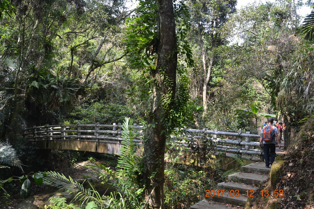 DSC_0242 DSC_0242