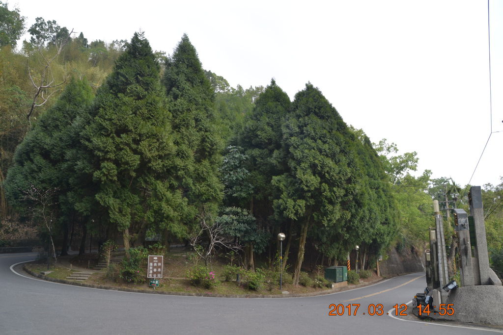 DSC_0305 DSC_0305