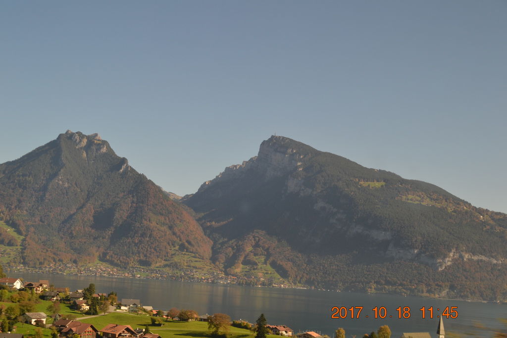 DSC_0917 DSC_0917