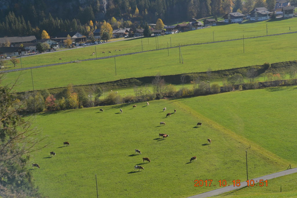 DSC_0889 DSC_0889