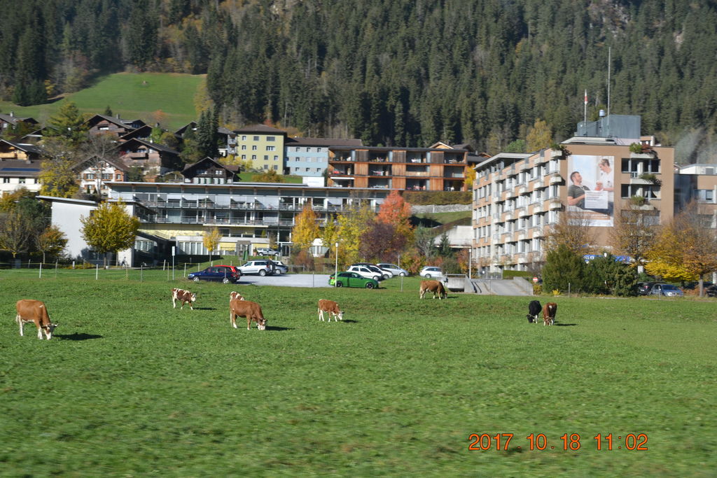 DSC_0906 DSC_0906