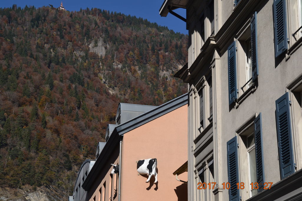 DSC_0954 DSC_0954