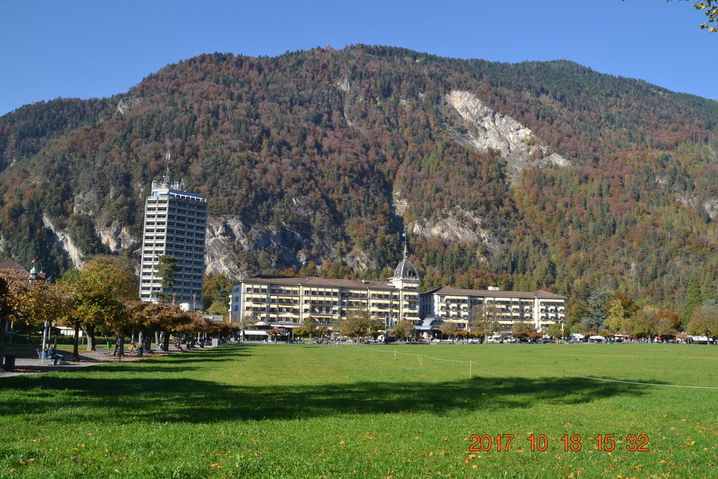 DSC_0984 DSC_0984