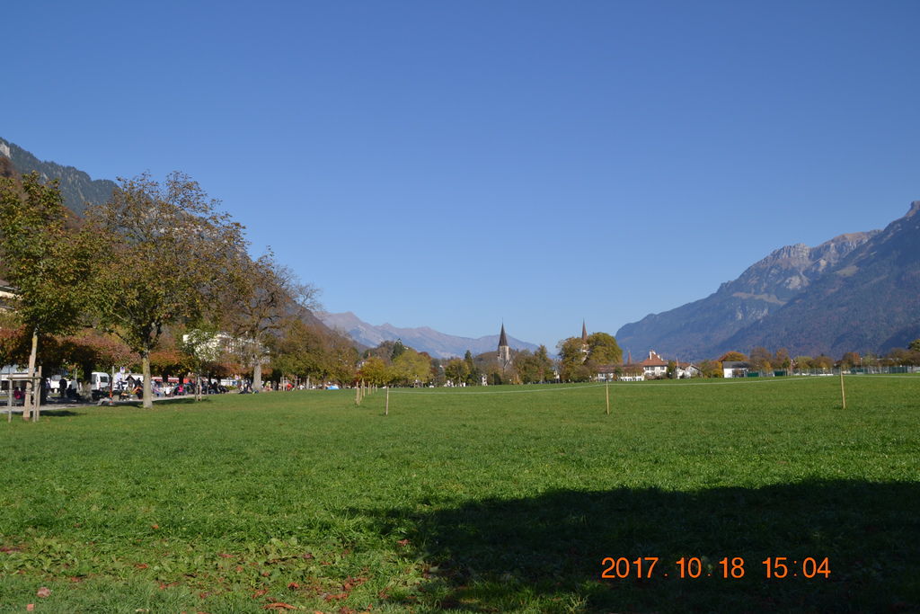 DSC_0972 DSC_0972