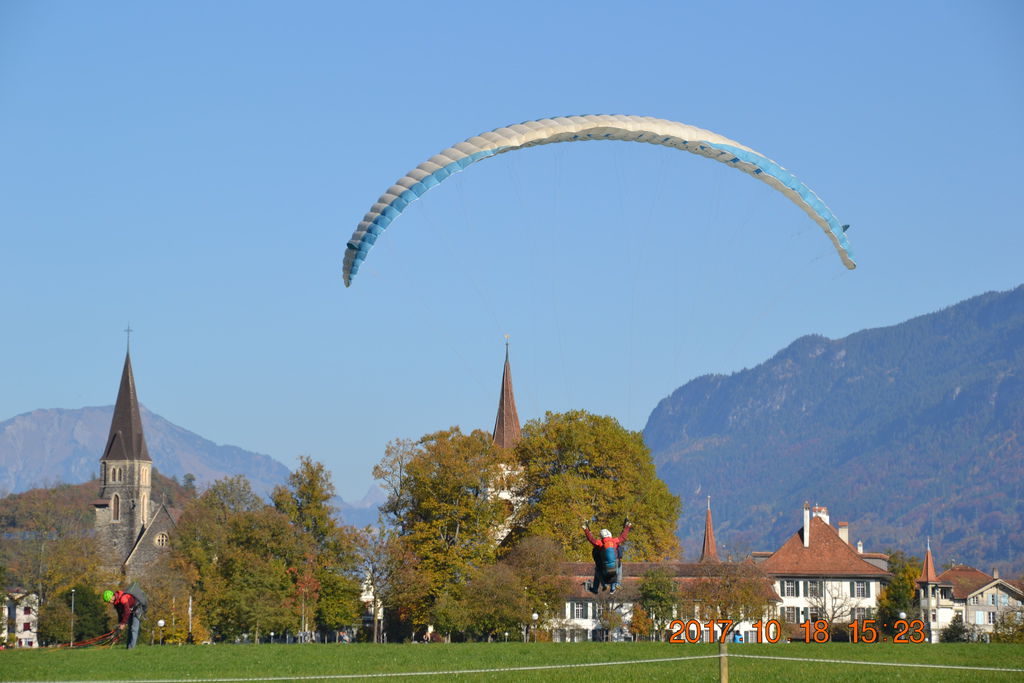 DSC_0979 DSC_0979