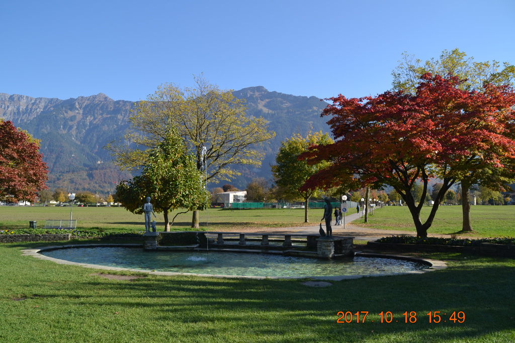 DSC_0991 DSC_0991